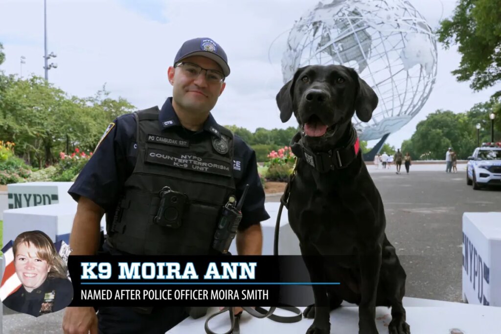 NYPD names K-9s after fallen 9/11 heroes — read the stories behind each of NY’s Finest