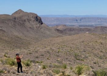 Betrayed Texans say Trump wants to give their land to Mexico: ‘Greed and corruption’