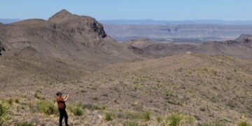 Betrayed Texans say Trump wants to give their land to Mexico: ‘Greed and corruption’