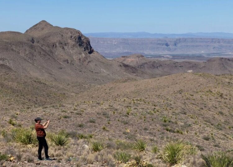 Betrayed Texans say Trump wants to give their land to Mexico: ‘Greed and corruption’