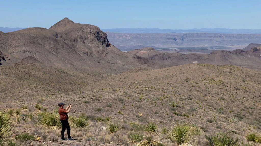 Betrayed Texans say Trump wants to give their land to Mexico: ‘Greed and corruption’