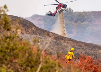 The U.S. Is Having One of Its Most Active Wildfire Seasons. Here’s How the Costs Are Adding Up