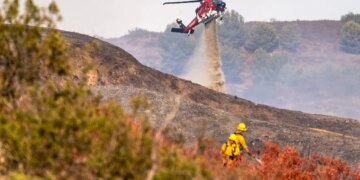 The U.S. Is Having One of Its Most Active Wildfire Seasons. Here’s How the Costs Are Adding Up