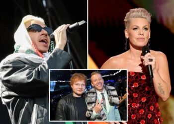 Pink hits back amid backlash for criticizing Macklemore’s anti-Israel concert rant