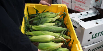 Farm to People Wants to Create a New Economy for Small Farms to Succeed