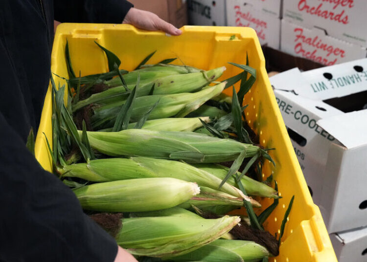 Farm to People Wants to Create a New Economy for Small Farms to Succeed
