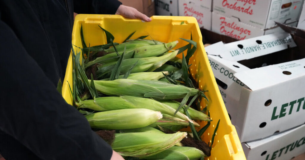 Farm to People Wants to Create a New Economy for Small Farms to Succeed