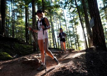 A hike through the woods feels natural. It’s anything but.
