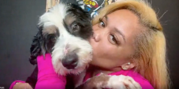 Her dog had been missing for seven months. Then his photo appeared online.