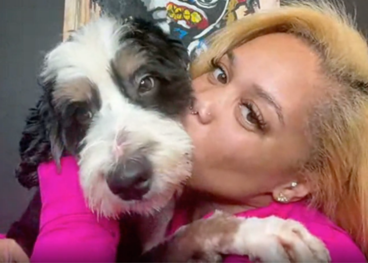 Her dog had been missing for seven months. Then his photo appeared online.