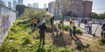 One L.A. school trades asphalt for trees and grass