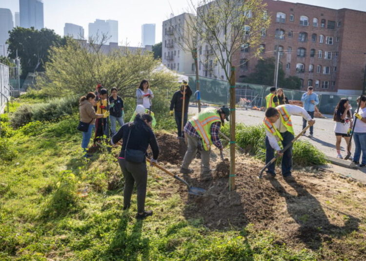One L.A. school trades asphalt for trees and grass