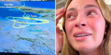Turkish Airlines flight ‘started to plummet’ after trying to land 3 times during storm: ‘Absolutely terrifying’