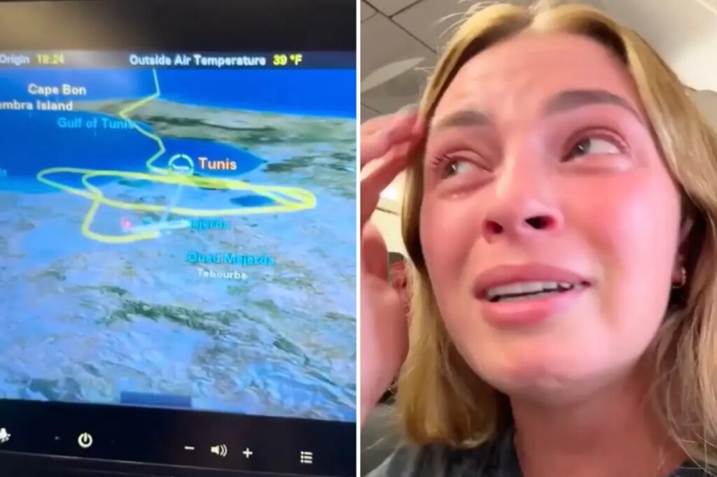 Turkish Airlines flight ‘started to plummet’ after trying to land 3 times during storm: ‘Absolutely terrifying’