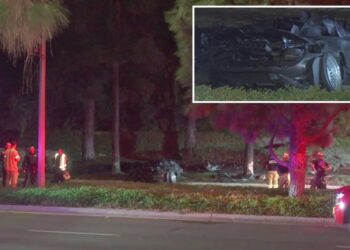 Two killed in supercar crash as McLaren smashes into tree and bursts into flames