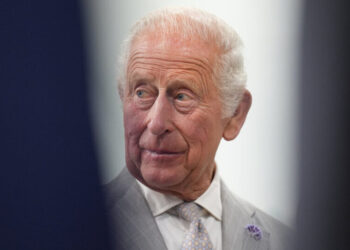 King Charles Will Convene A.I. Leaders Amid Calls to Slow Development