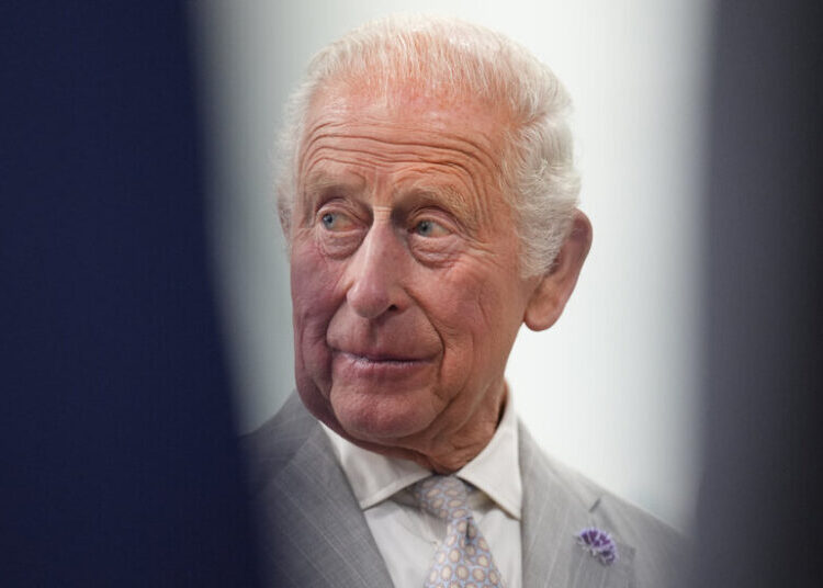 King Charles Will Convene A.I. Leaders Amid Calls to Slow Development