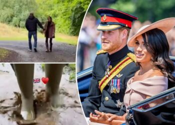 Meghan Markle and Prince Harry’s ‘hypocrisy’ exposed after posting cheery, ‘hyper-curated’ social media video