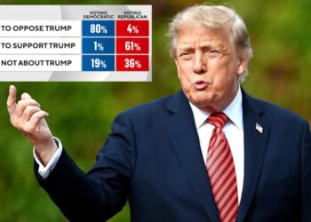 Trump fuels voters on both sides in midterm elections, but Dems have upper hand: poll