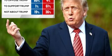 Trump fuels voters on both sides in midterm elections, but Dems have upper hand: poll