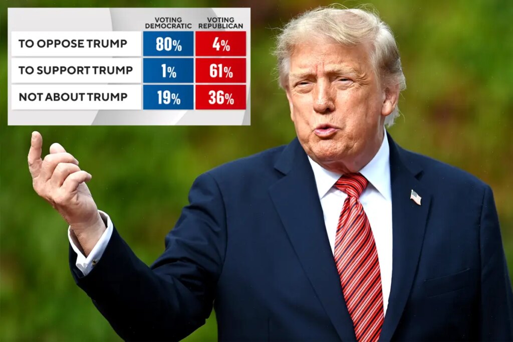Trump fuels voters on both sides in midterm elections, but Dems have upper hand: poll