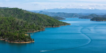 Dog leaps into Shasta Lake and man jumps in to save it. Dog survives, but the man does not