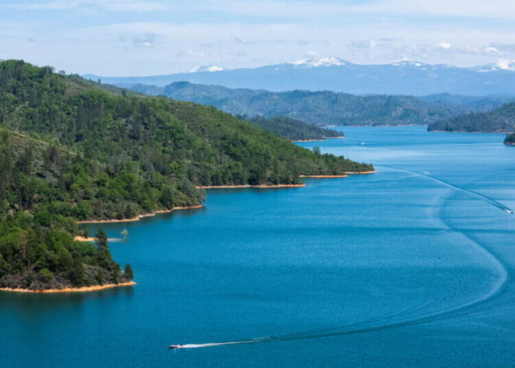 Dog leaps into Shasta Lake and man jumps in to save it. Dog survives, but the man does not
