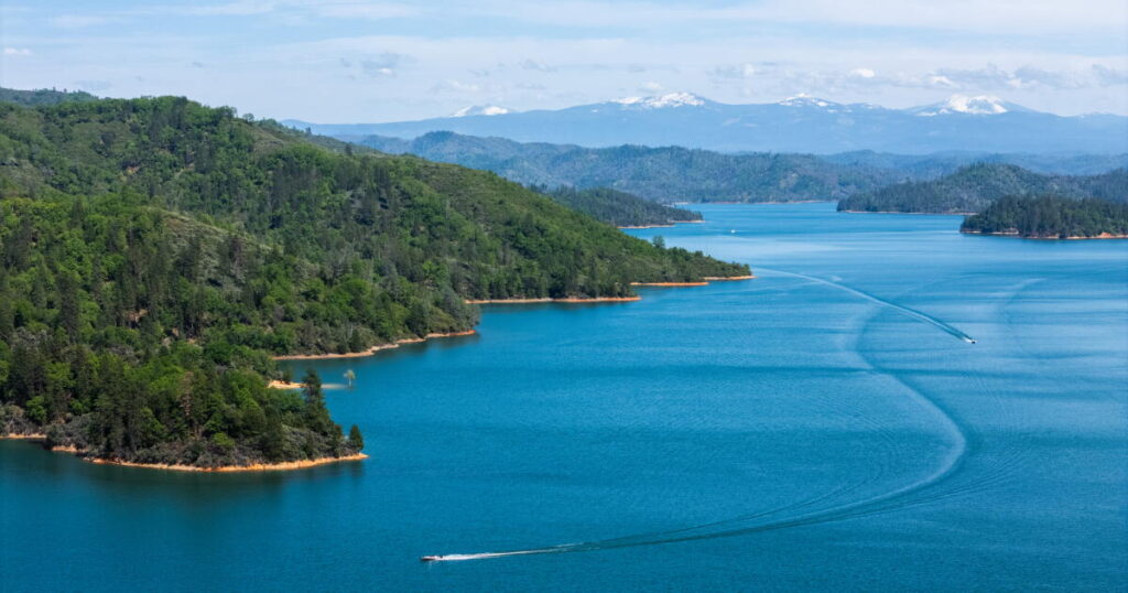 Dog leaps into Shasta Lake and man jumps in to save it. Dog survives, but the man does not