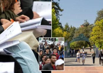 California high school grads score 4.0 GPAs but can’t do basic math, professors say