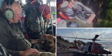 Missing hiker, 70, hoisted to safety ‘alive and alert’ after surviving for week on remote Michigan island