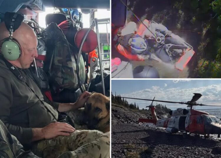 Missing hiker, 70, hoisted to safety ‘alive and alert’ after surviving for week on remote Michigan island