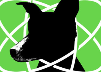 How I Realized My Dog Is a Genius