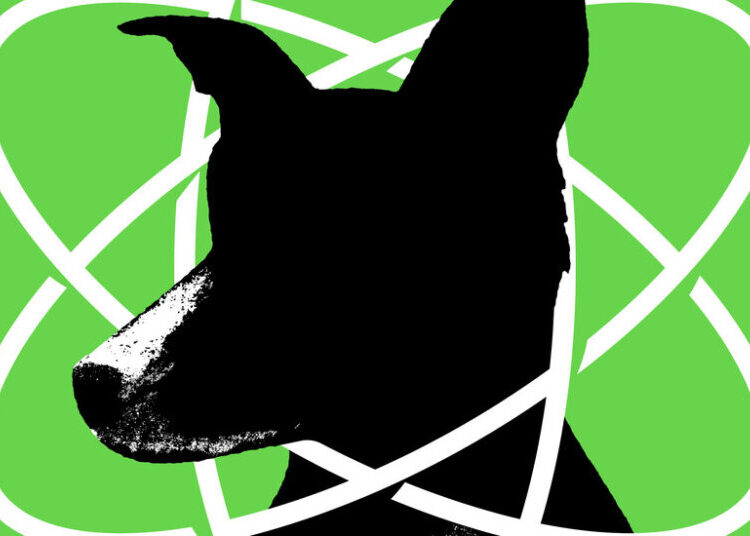 How I Realized My Dog Is a Genius