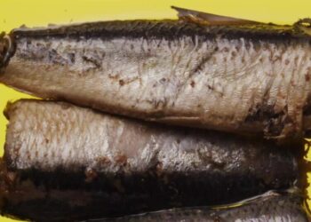 How Healthy Are Sardines?