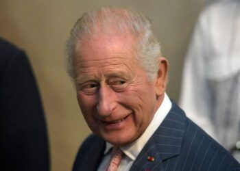 King Charles to host AI leaders as disaster warnings mount