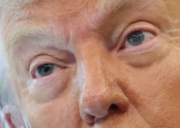 ‘Traitors beware’: Trump goes berserk at dire calls to address existential threat