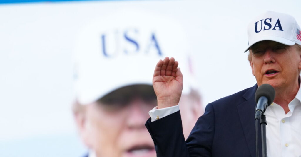 Trump Says a Smart President Is All That’s Needed to Rein In A.I.