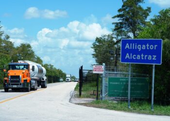 Alligator Alcatraz detainees were put in small cages, DHS watchdog report finds