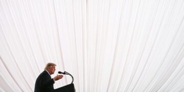 Who Needs Regulation When Trump Is President?