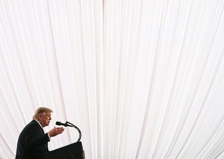 Who Needs Regulation When Trump Is President?