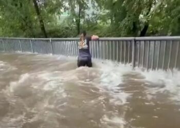 Half-Marathoners in New Jersey Wade Through Flooded Course