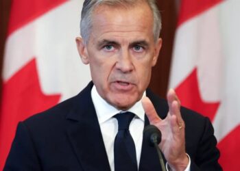 Mark Carney pitches Canada to global investors as ‘much more than being next to the United States’ and a reliable partner that ‘respects rule of law’