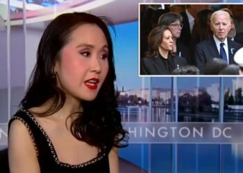 Ex-Dem insider exposes what Harris told top donors days before Biden dropped out: ‘All charade’