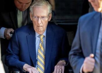 Trump whisperer melts down at return of ‘brain dead’ McConnell: ‘Wheeling a corpse around’