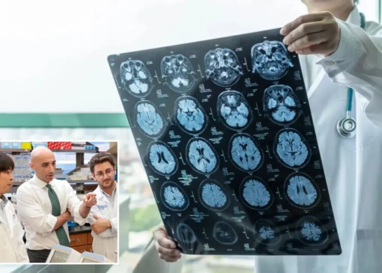A special diet could help slow the growth of one of the deadliest brain tumors