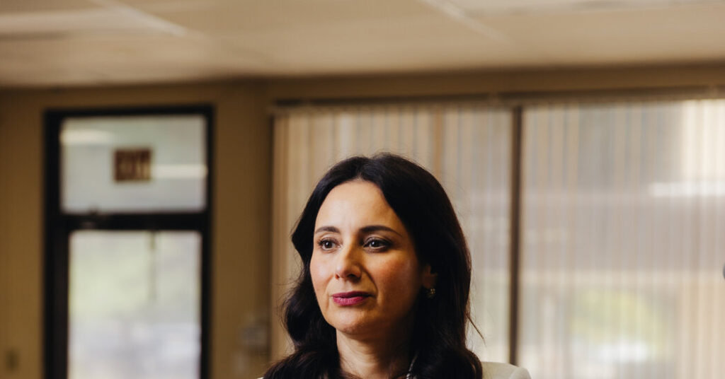 Against the Odds, This Democrat in Texas Is Giving Greg Abbott a Fight