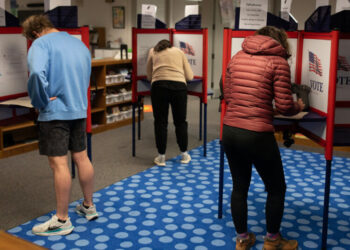 Patel Suggests F.B.I. Agents May Be Sent to the Polls