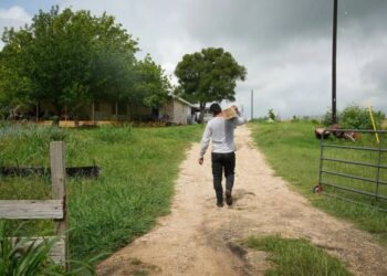 Baffling disease sending healthy, young Texas workers into kidney failure