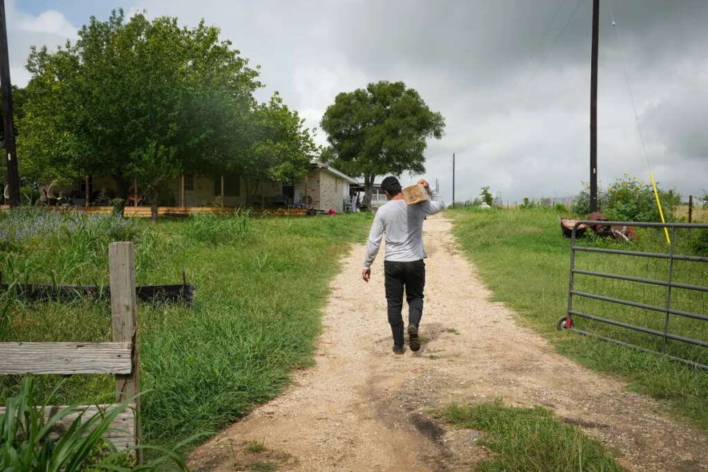 Baffling disease sending healthy, young Texas workers into kidney failure