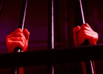 Police Use Flock to Jail Completely Innocent Woman for Weeks